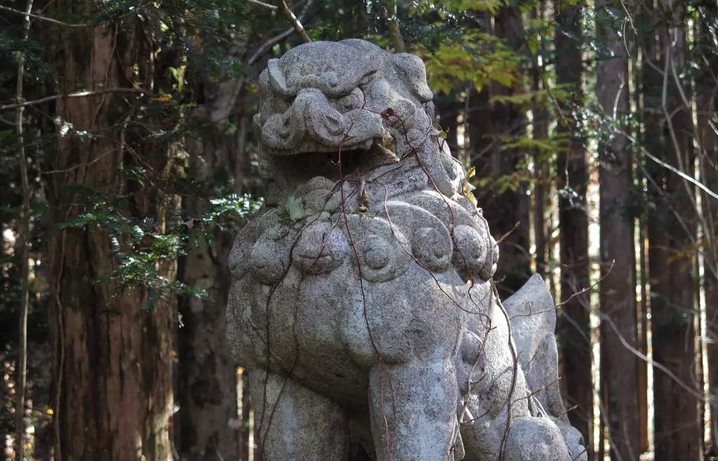 IMG_9650.jpg IMG_9650.jpg