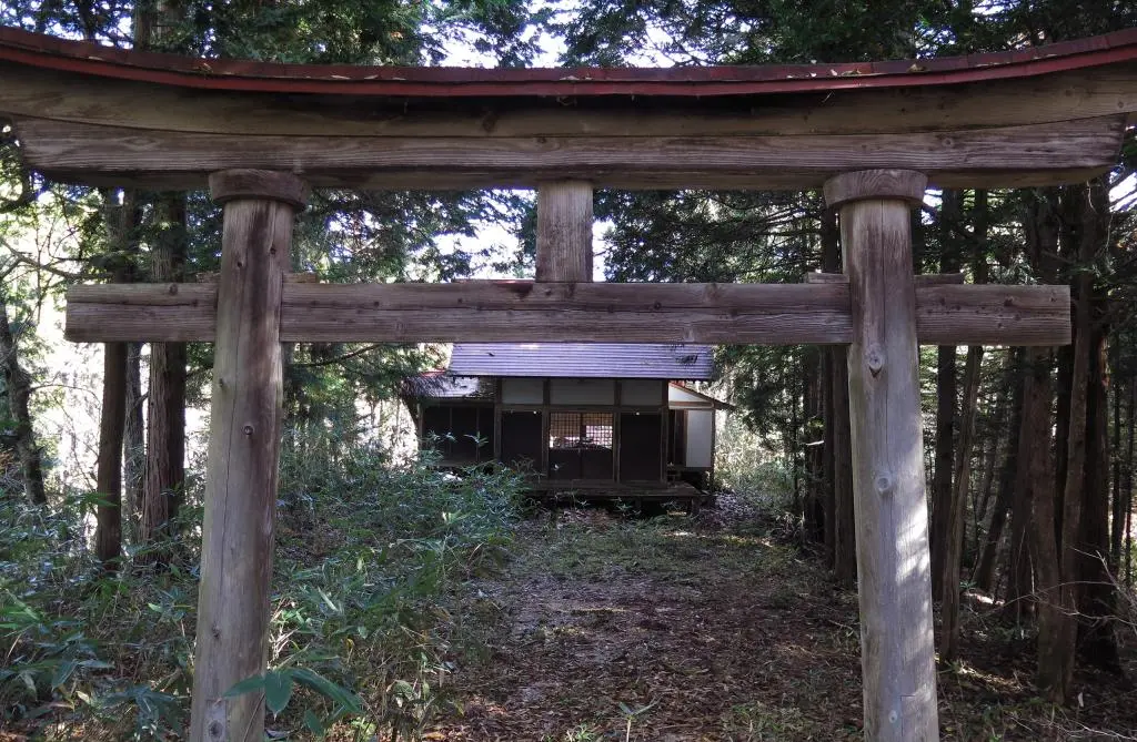 IMG_9651.jpg IMG_9651.jpg