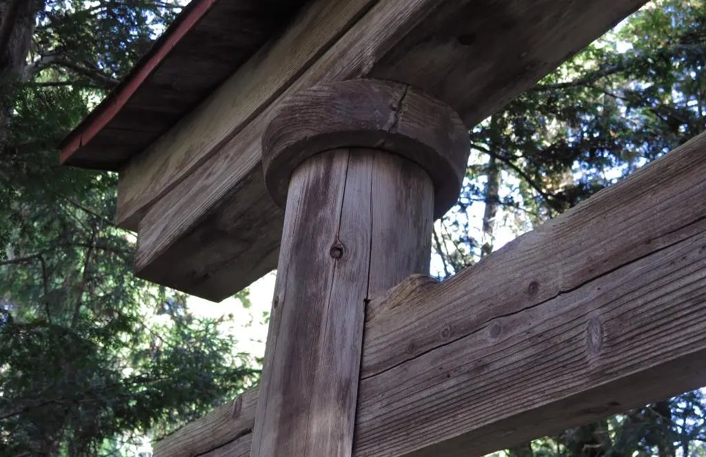 IMG_9653.jpg IMG_9653.jpg