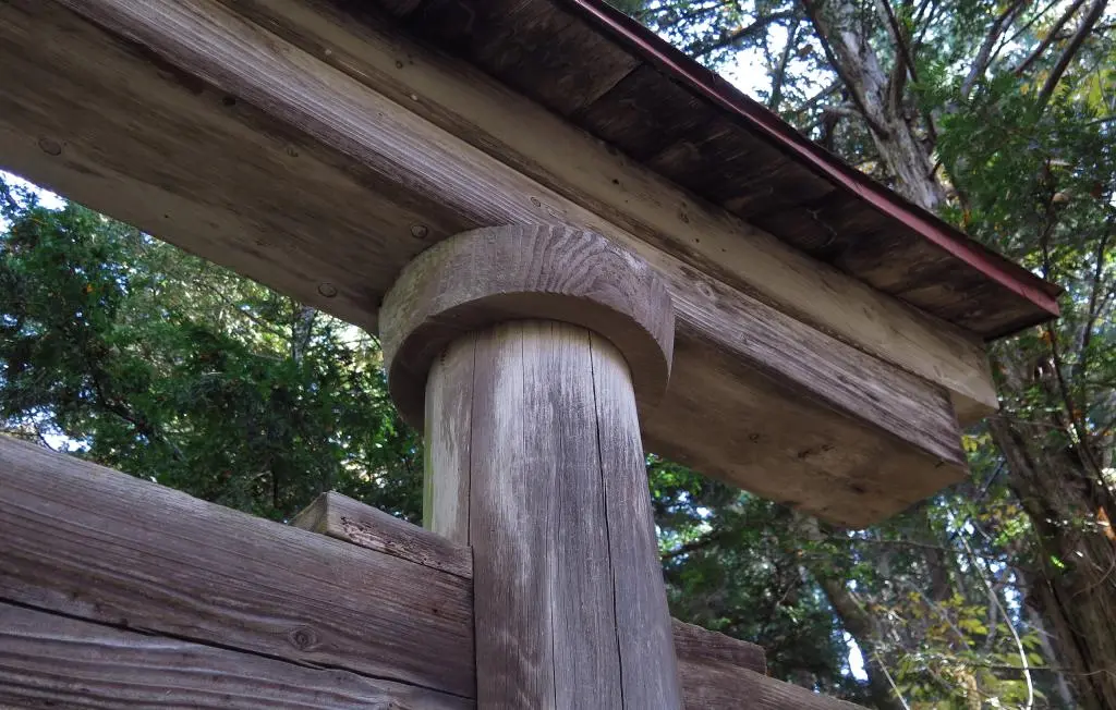 IMG_9655.jpg IMG_9655.jpg