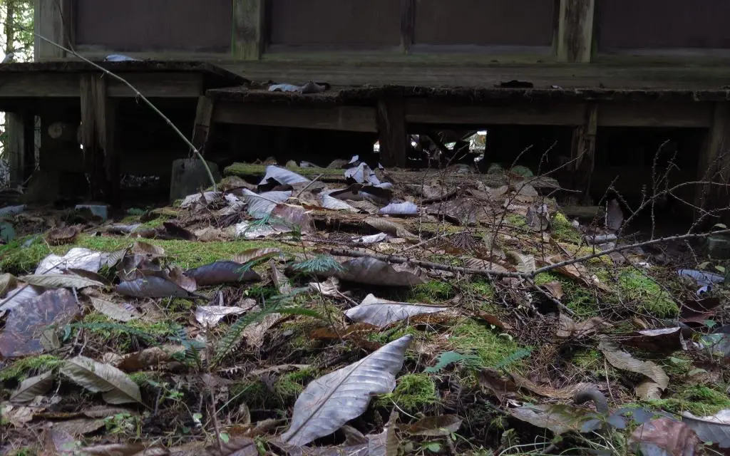 IMG_9659.jpg IMG_9659.jpg