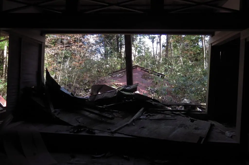 IMG_9661.jpg IMG_9661.jpg