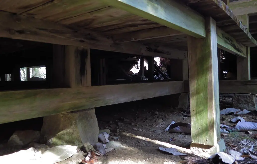 IMG_9669.jpg IMG_9669.jpg