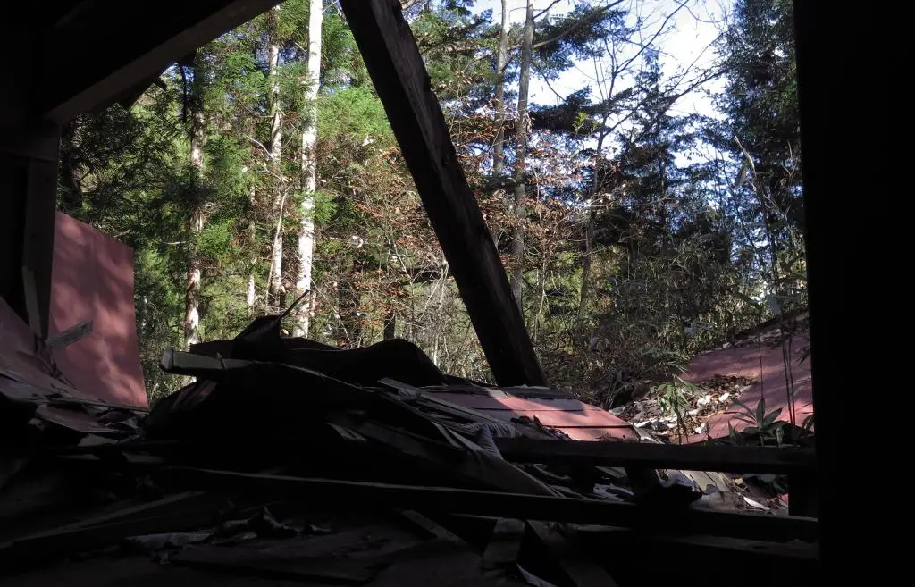 IMG_9671.jpg IMG_9671.jpg