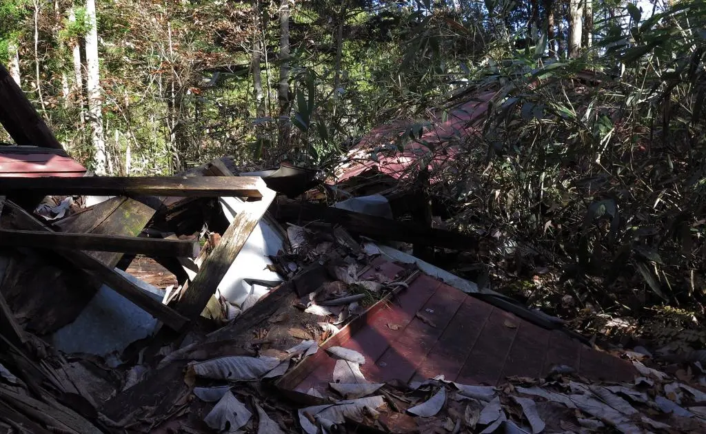 IMG_9673.jpg IMG_9673.jpg