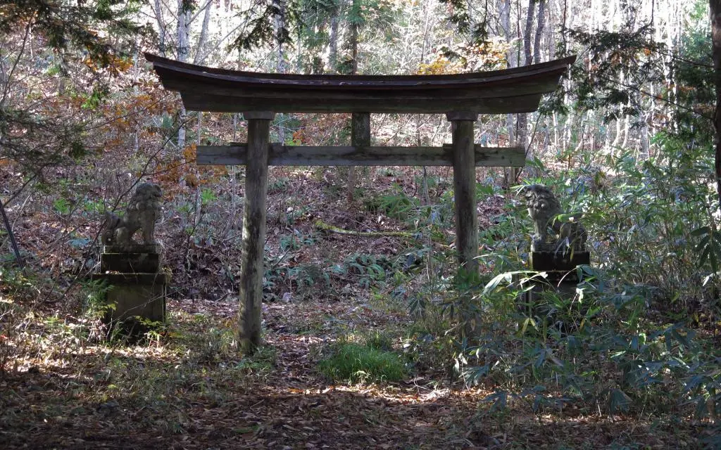 IMG_9679.jpg IMG_9679.jpg