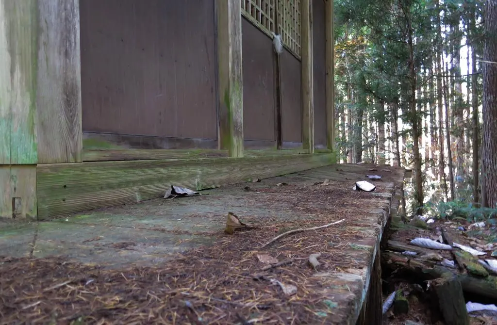 IMG_9682.jpg IMG_9682.jpg