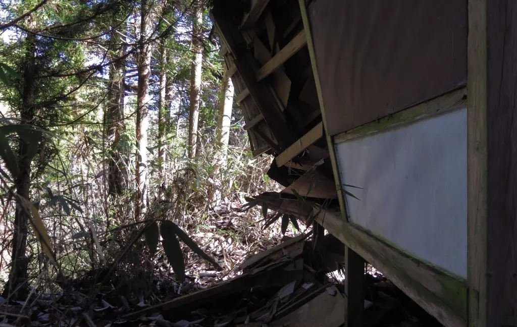 IMG_9683.jpg IMG_9683.jpg