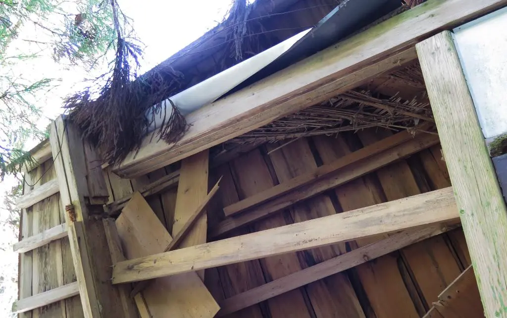 IMG_9686.jpg IMG_9686.jpg