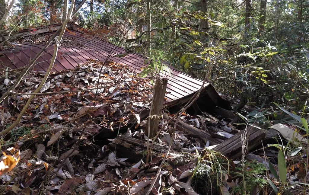 IMG_9691.jpg IMG_9691.jpg