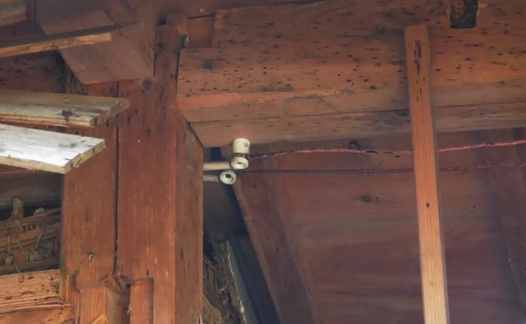 IMG_9702.jpg IMG_9702.jpg