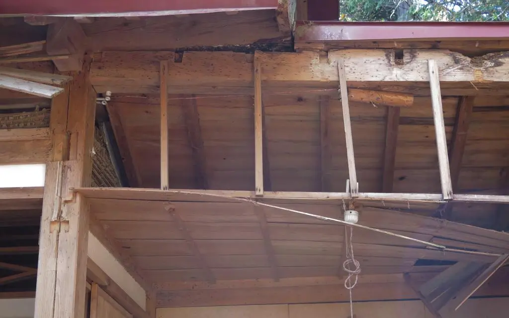 IMG_9703.jpg IMG_9703.jpg