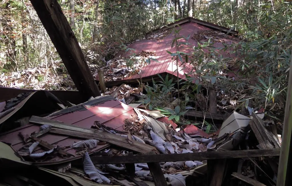 IMG_9708.jpg IMG_9708.jpg