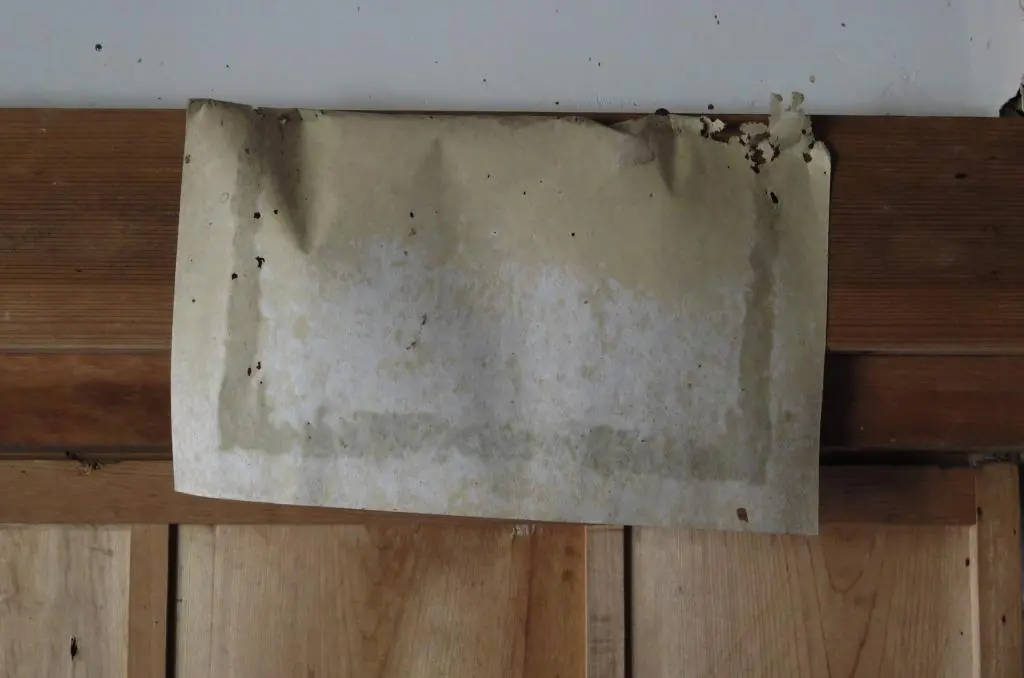 IMG_9710.jpg IMG_9710.jpg