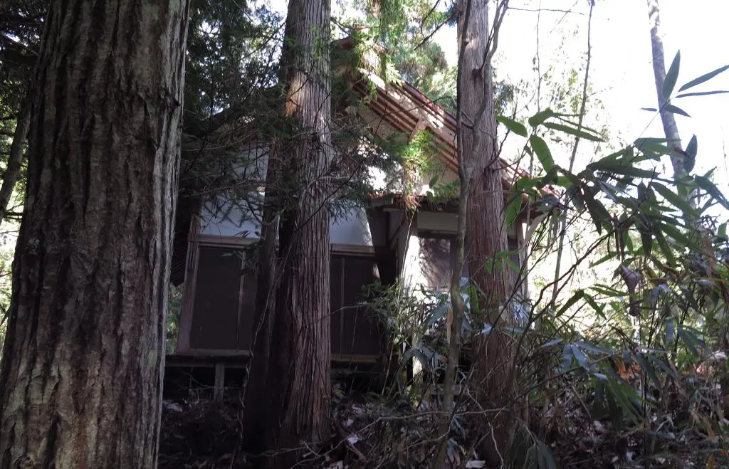 IMG_9728.jpg IMG_9728.jpg