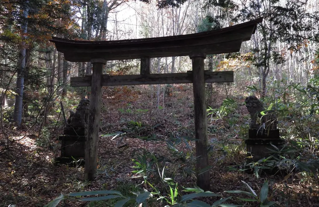 IMG_9731.jpg IMG_9731.jpg