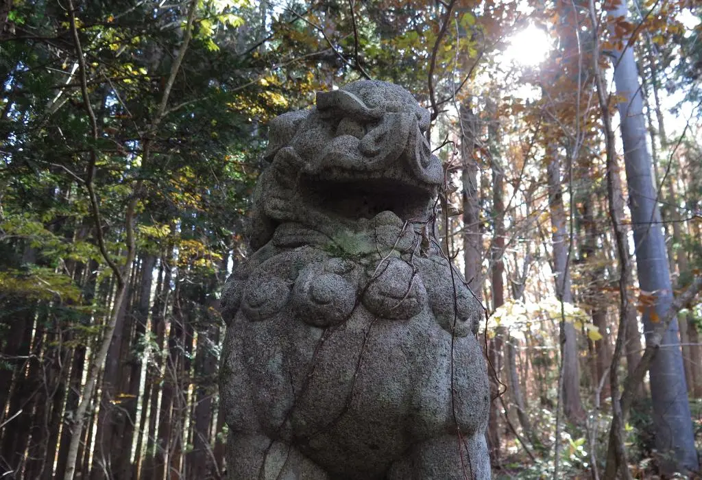 IMG_9734.jpg IMG_9734.jpg