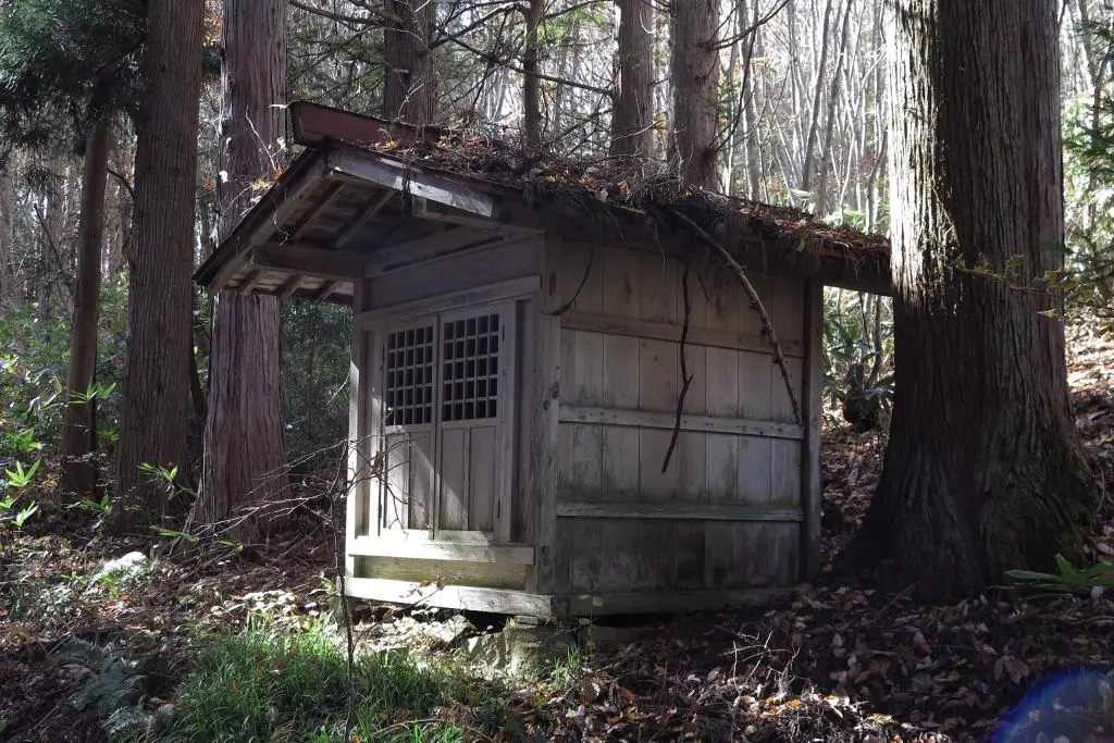 IMG_9737.jpg IMG_9737.jpg