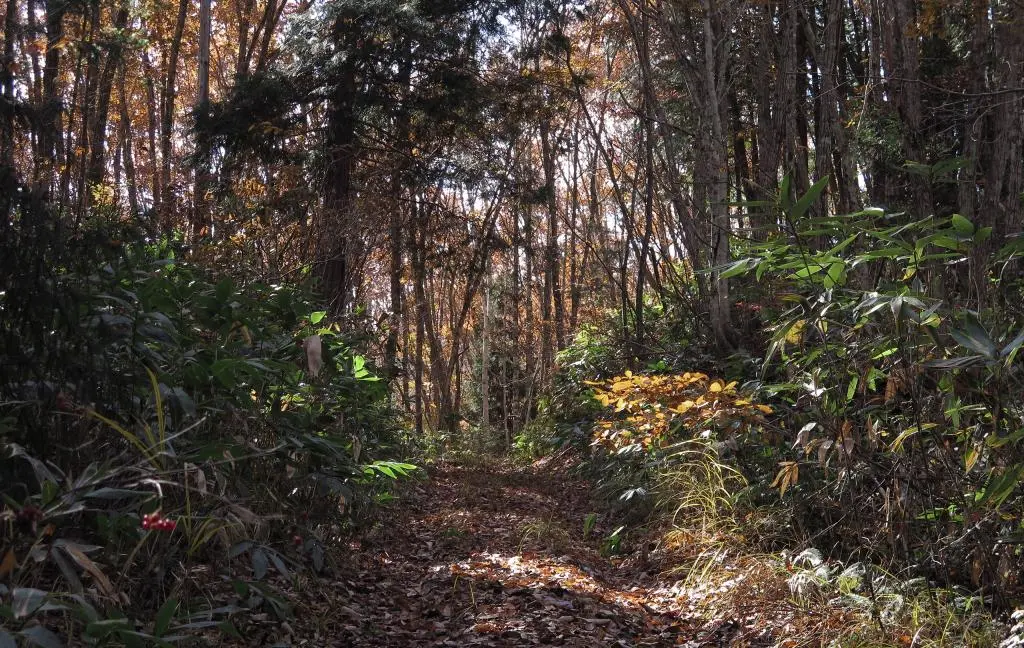 IMG_9743.jpg IMG_9743.jpg