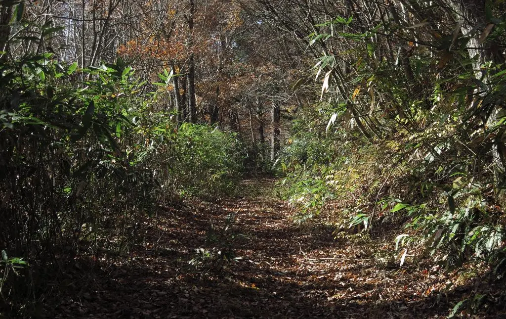 IMG_9744.jpg IMG_9744.jpg