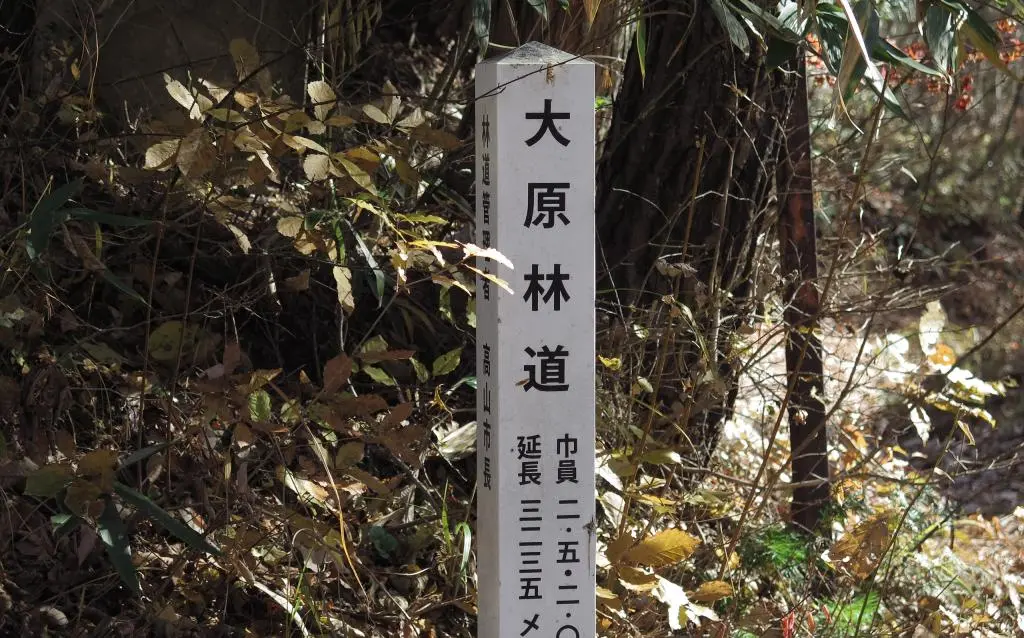 IMG_9745.jpg IMG_9745.jpg