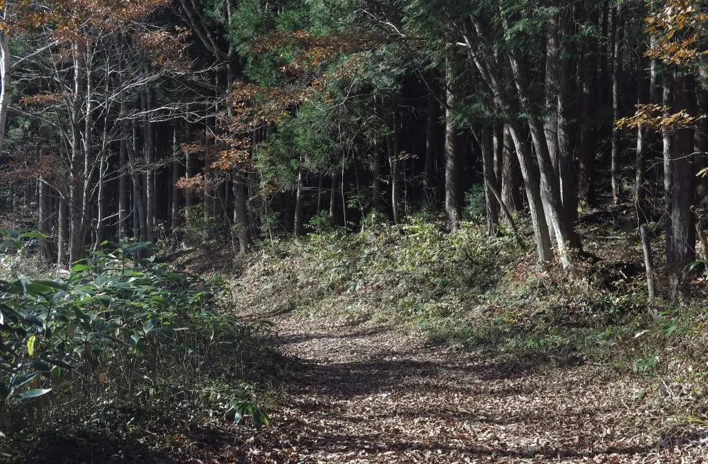 IMG_9746.jpg IMG_9746.jpg