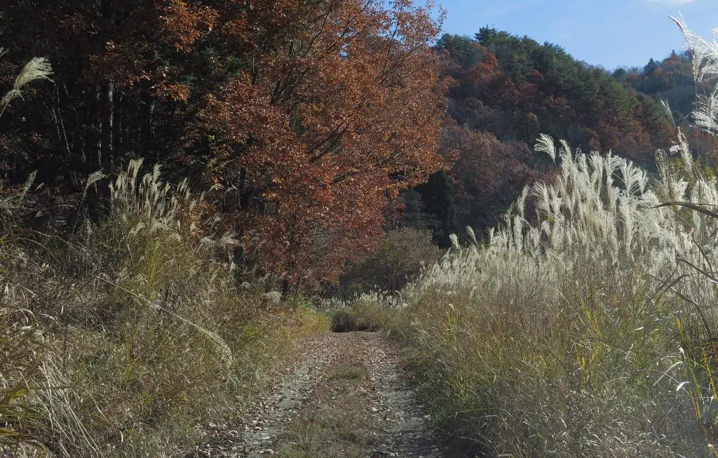 IMG_9749.jpg IMG_9749.jpg