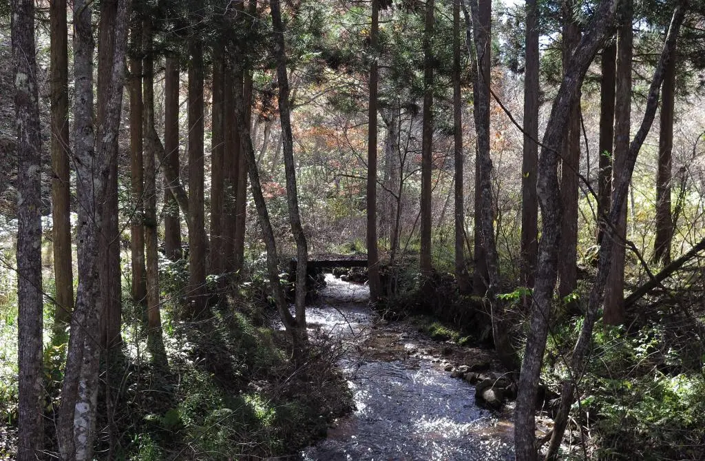 IMG_9754.jpg IMG_9754.jpg