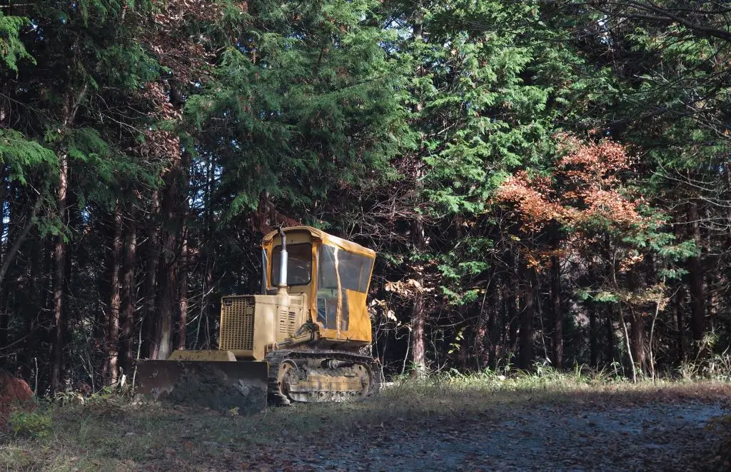 IMG_9757.jpg IMG_9757.jpg