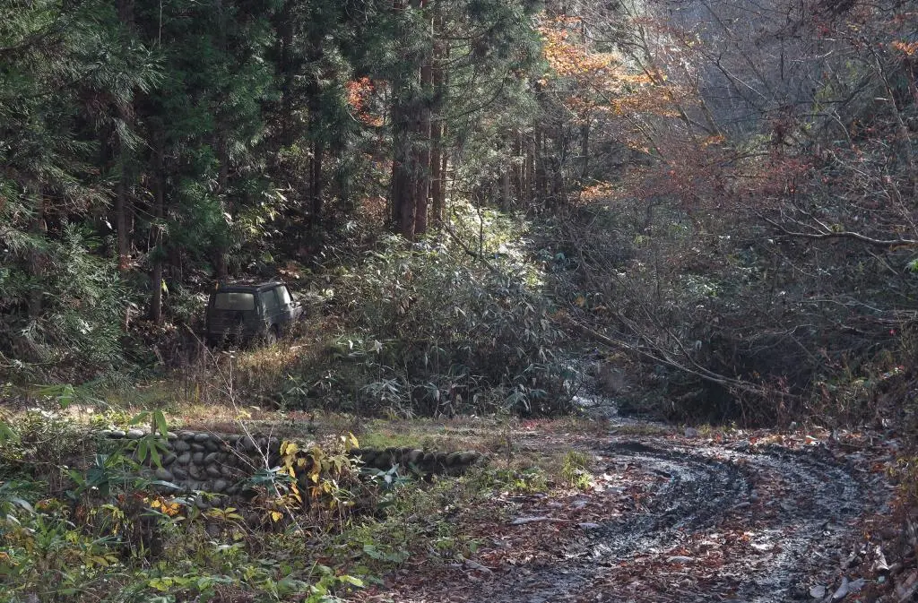 IMG_9759.jpg IMG_9759.jpg