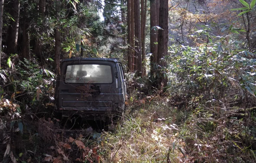 IMG_9761.jpg IMG_9761.jpg