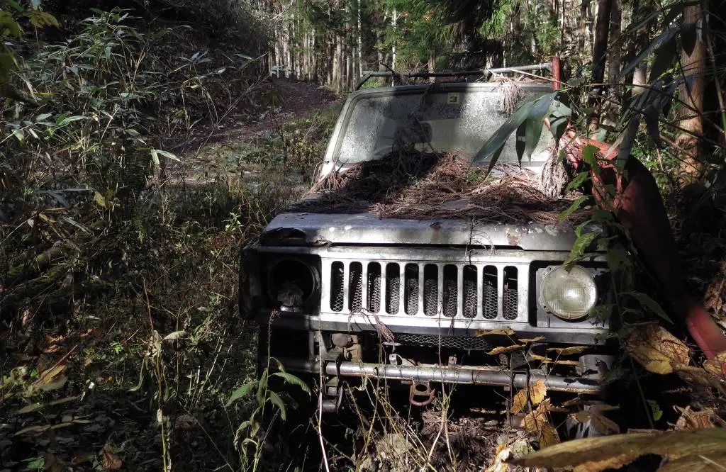 IMG_9766.jpg IMG_9766.jpg