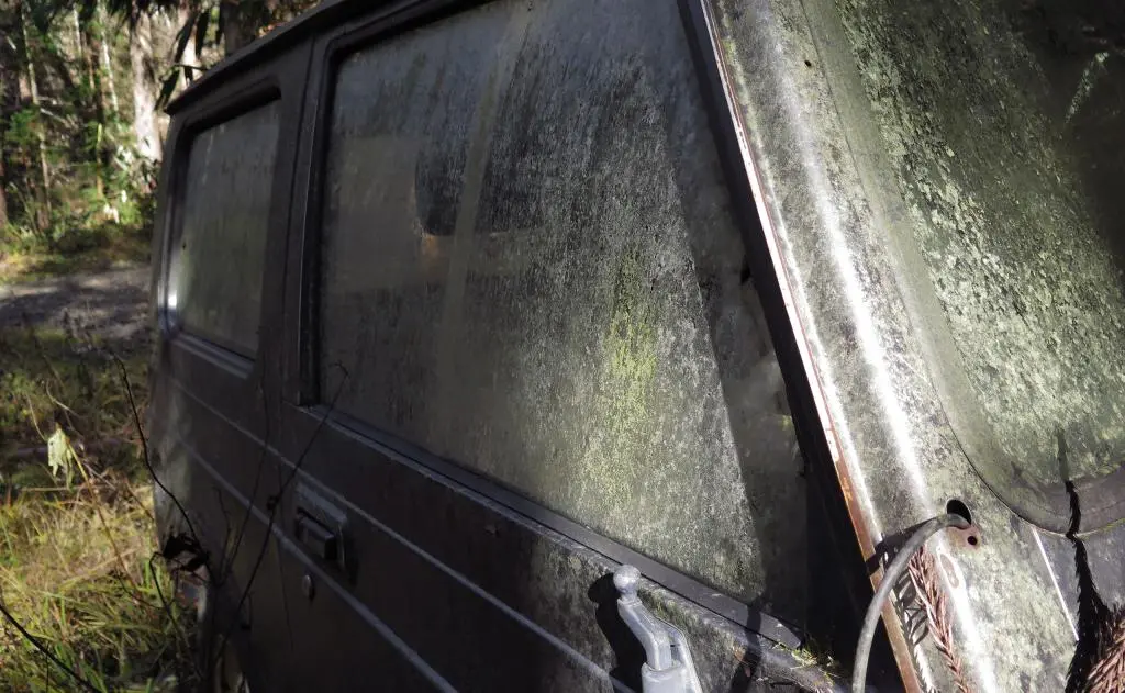 IMG_9768.jpg IMG_9768.jpg