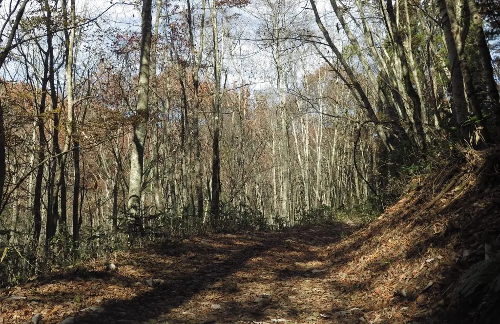 IMG_9769.jpg IMG_9769.jpg