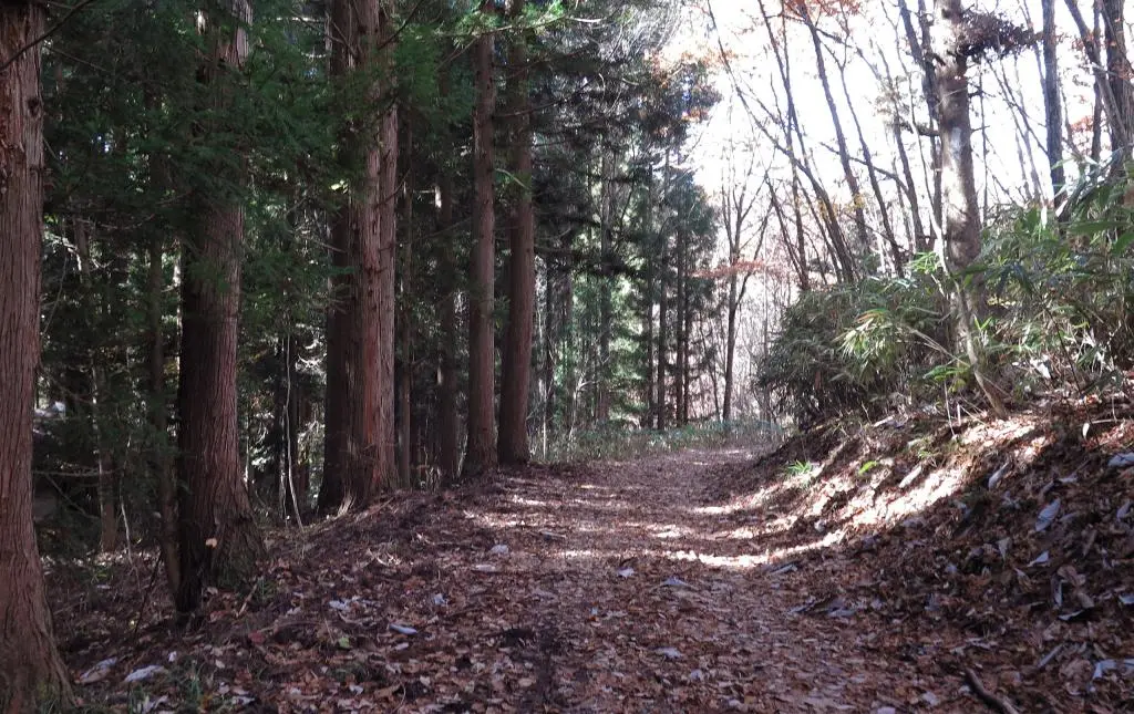 IMG_9771.jpg IMG_9771.jpg