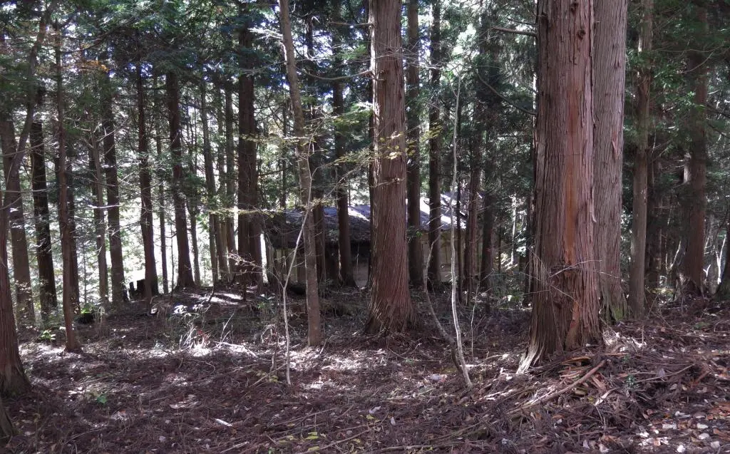 IMG_9772.jpg IMG_9772.jpg