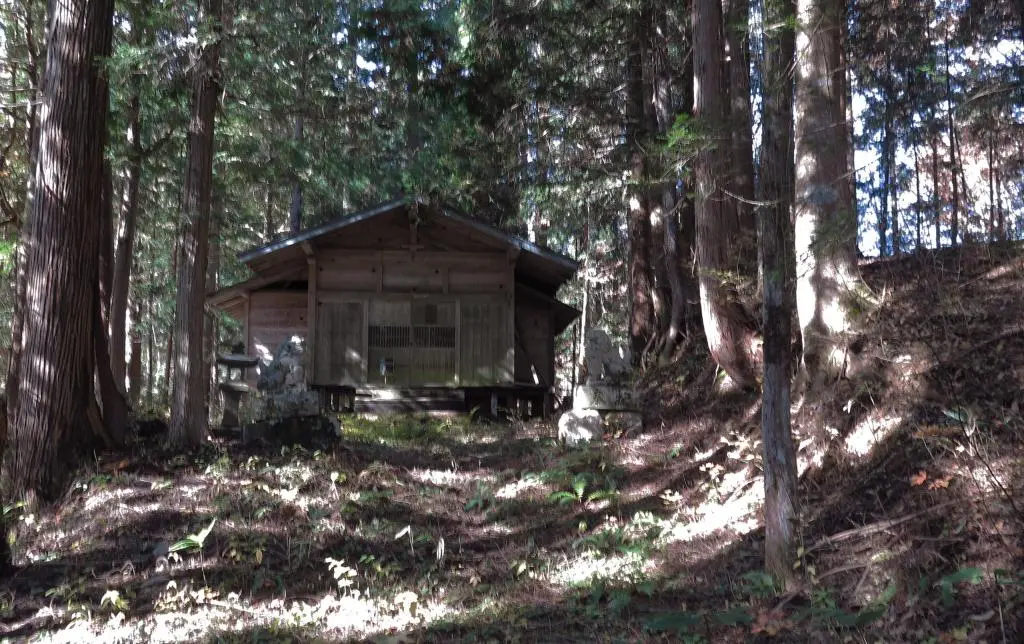 IMG_9776.jpg IMG_9776.jpg