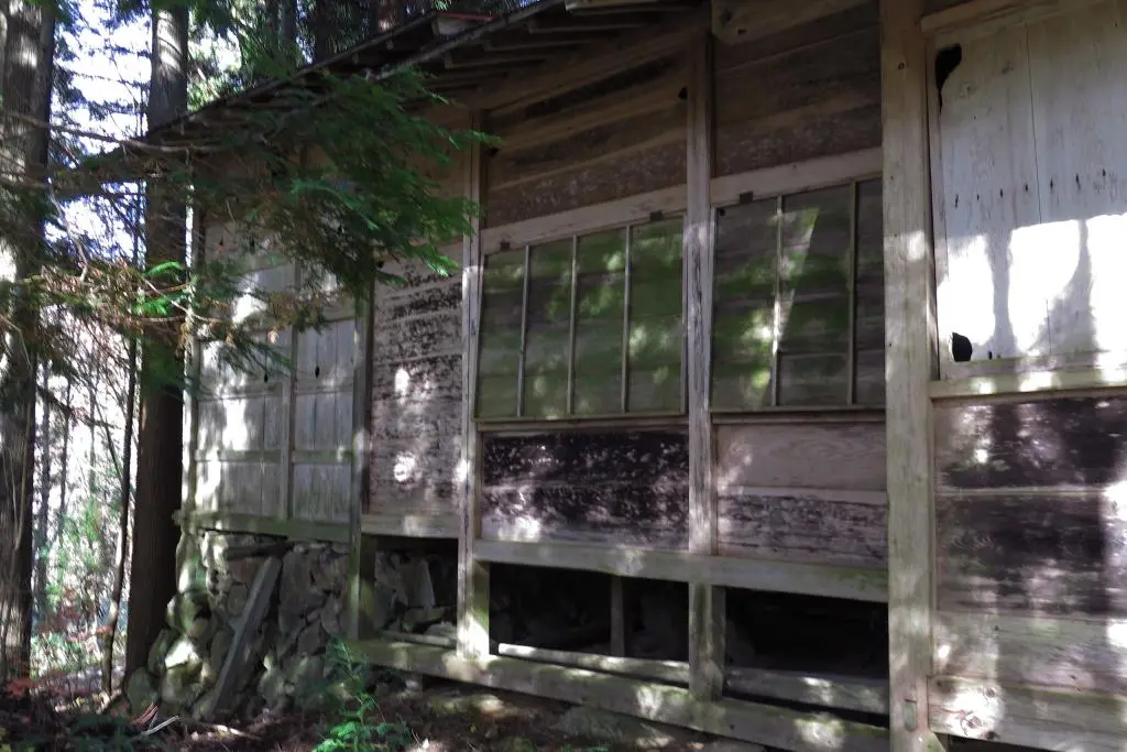 IMG_9782.jpg IMG_9782.jpg