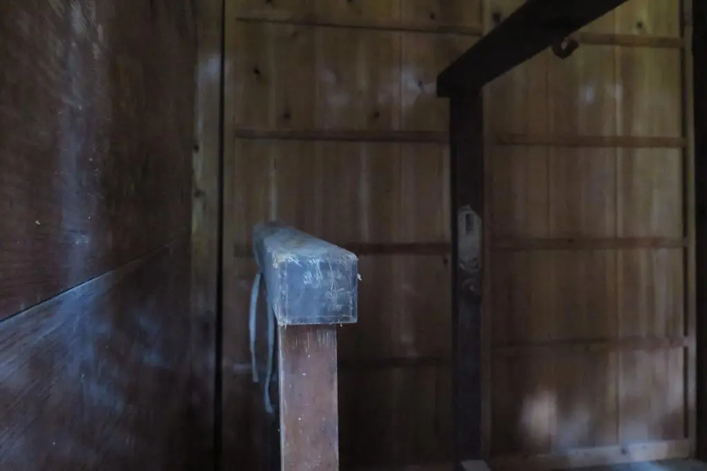 IMG_9785.jpg IMG_9785.jpg