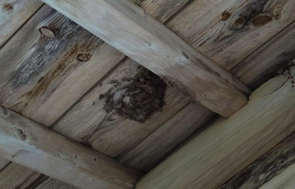 IMG_9789.jpg IMG_9789.jpg