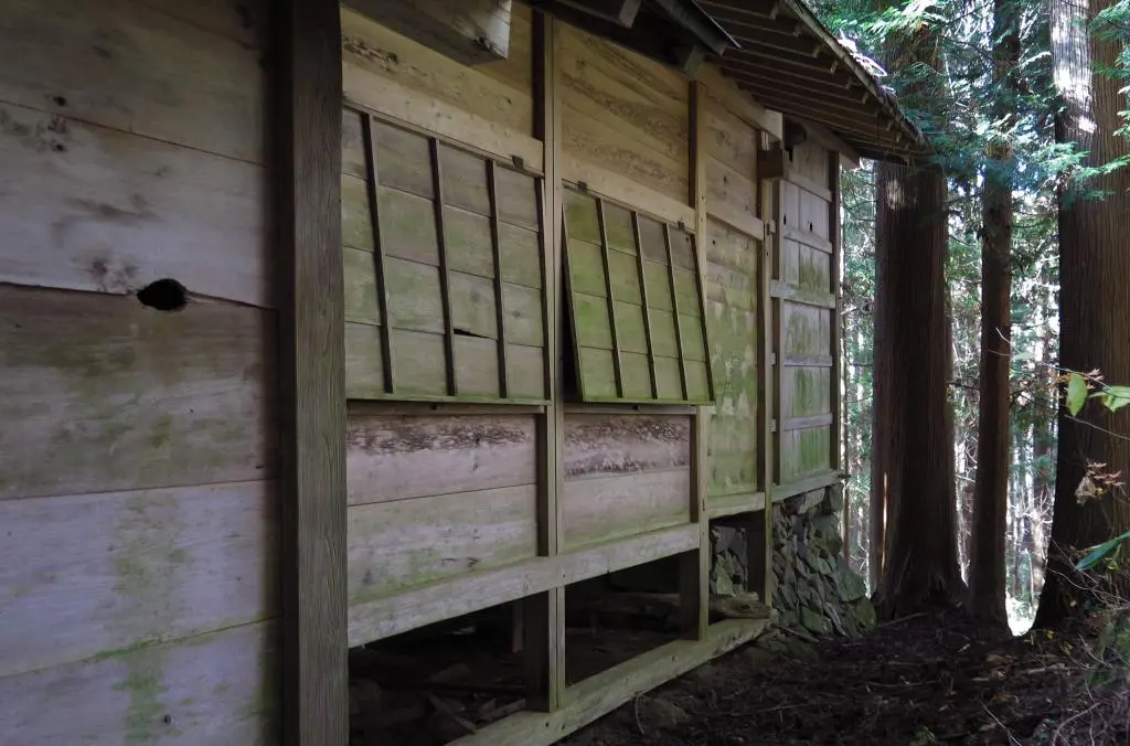 IMG_9791.jpg IMG_9791.jpg