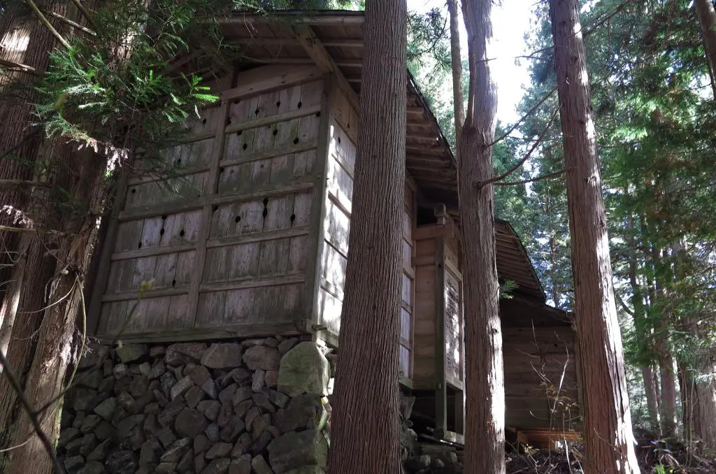 IMG_9817.jpg IMG_9817.jpg