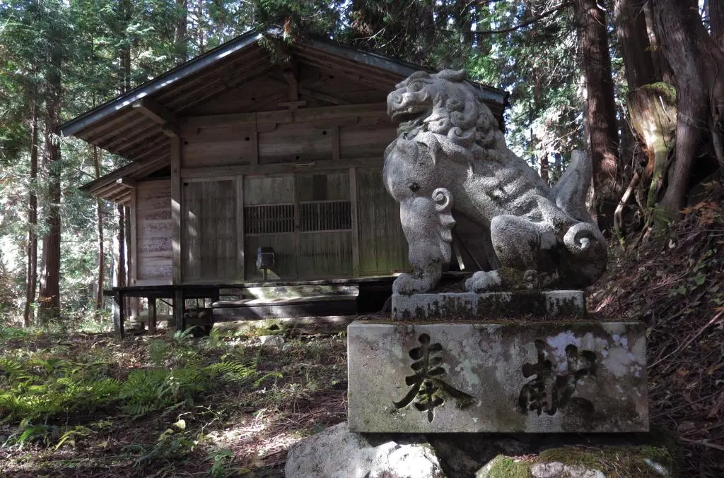 IMG_9821.jpg IMG_9821.jpg