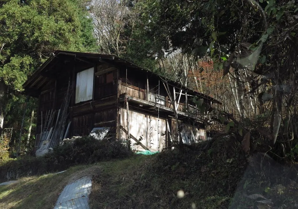 IMG_9826.jpg IMG_9826.jpg