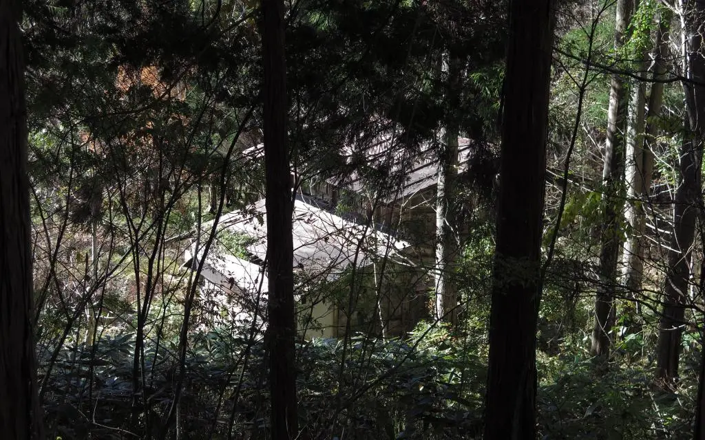 IMG_9828.jpg IMG_9828.jpg