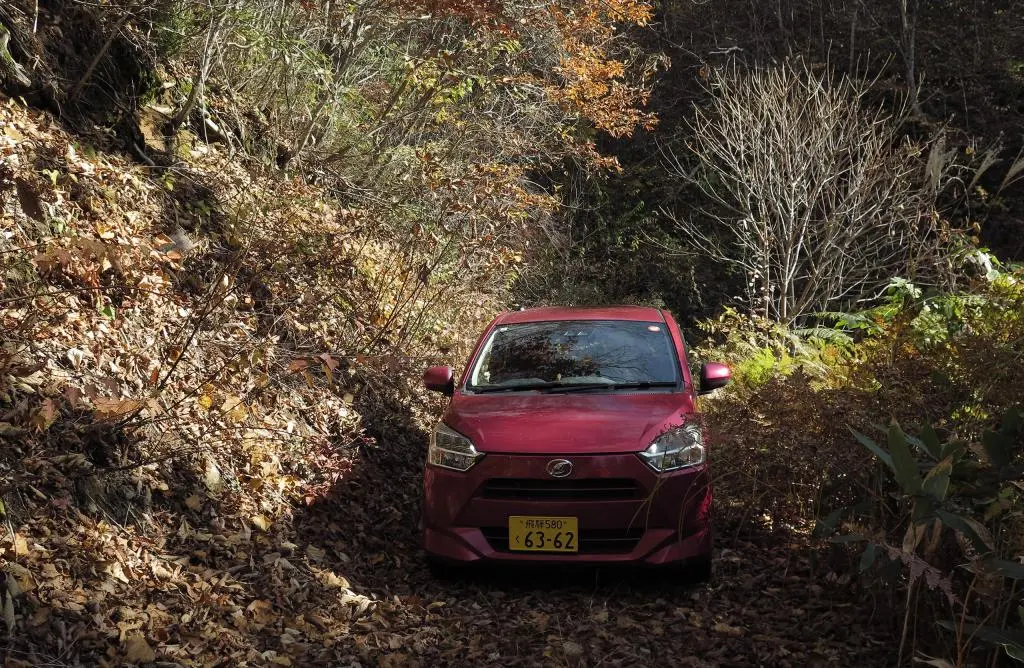 IMG_9831.jpg IMG_9831.jpg