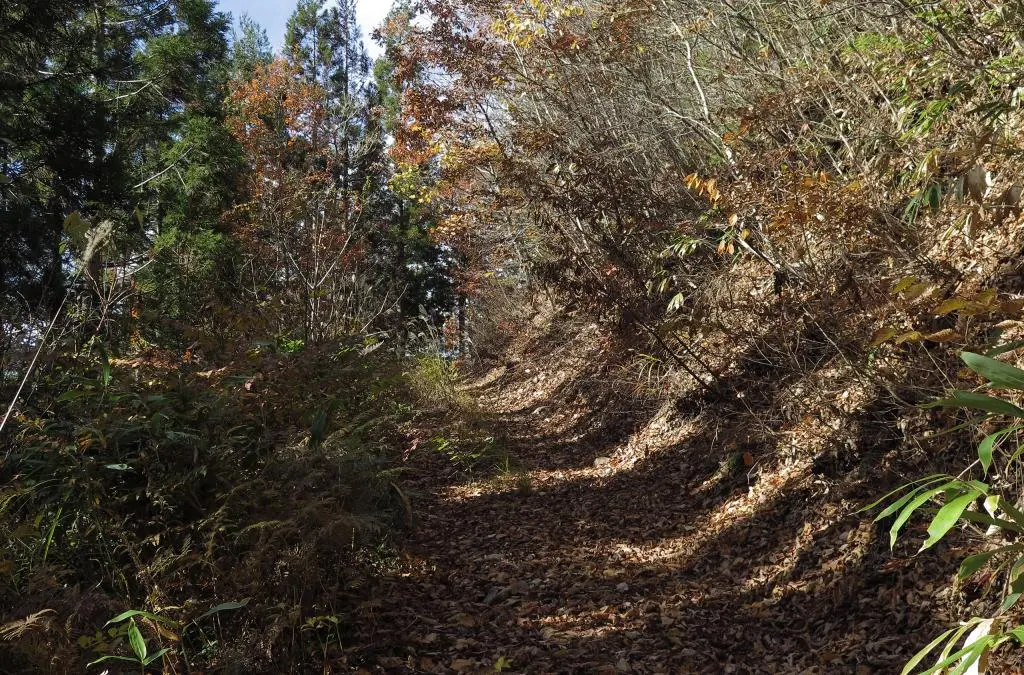 IMG_9833.jpg IMG_9833.jpg