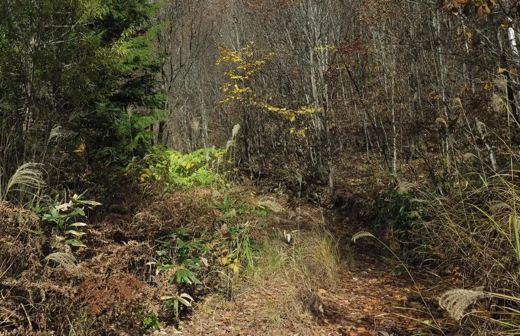 IMG_9834.jpg IMG_9834.jpg