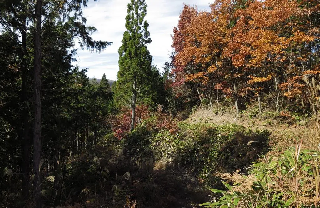 IMG_9837.jpg IMG_9837.jpg