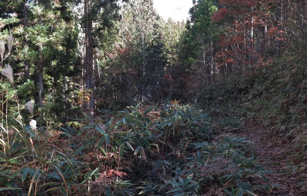 IMG_9840.jpg IMG_9840.jpg